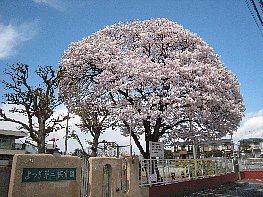 教育方針イメージ